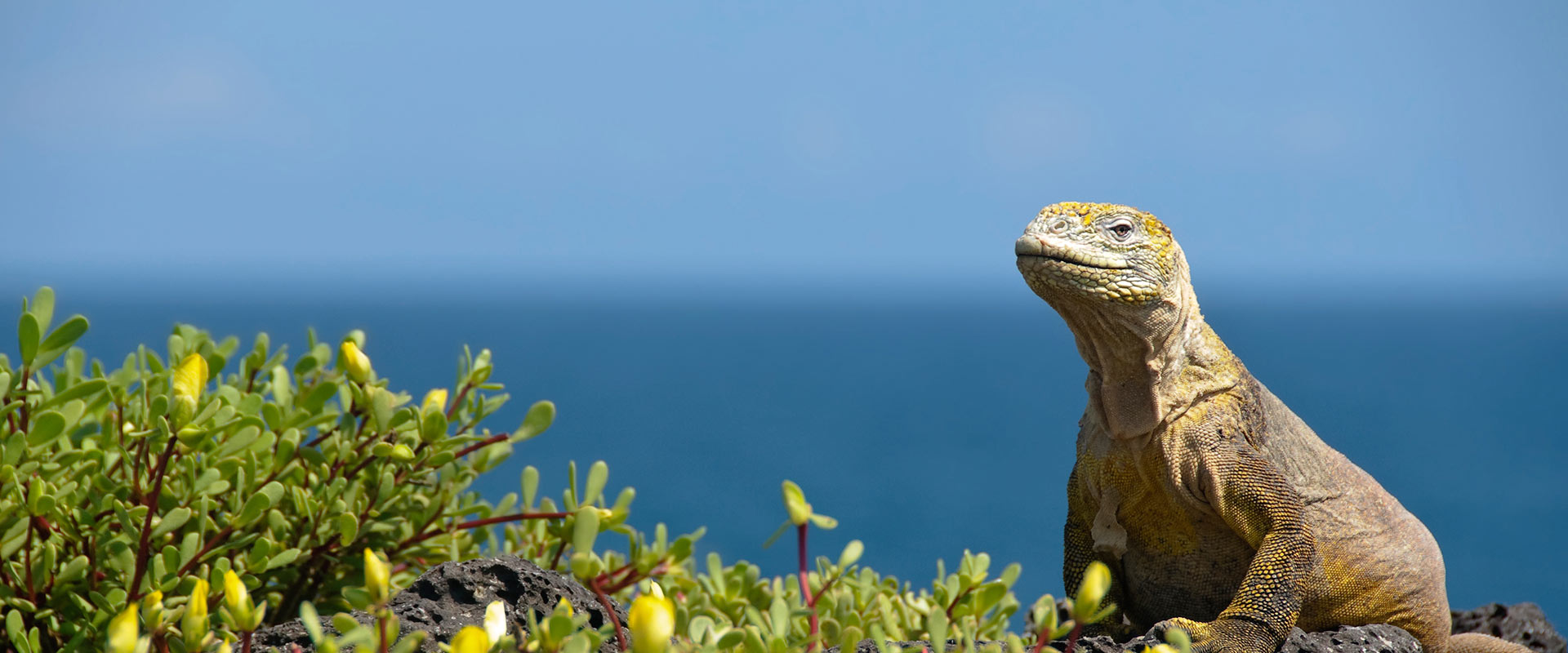 Activities on the Galapagos Islands